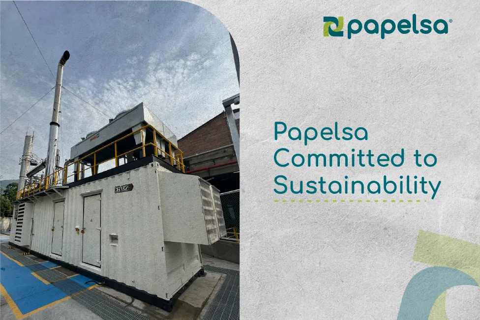 Papelsa committed to sustainability 