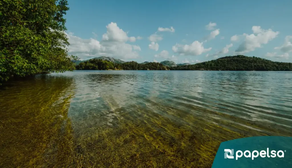 Paisaje natural de río y montañas, ejemplo de biodiversidad y conservación ambiental.