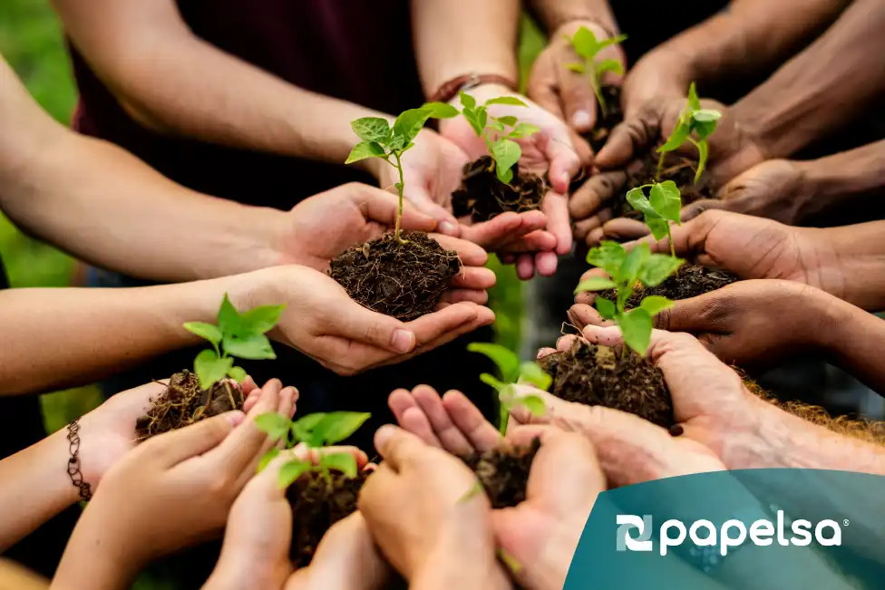 Grupo de personas sosteniendo plantas pequeñas, símbolo de trabajo en equipo, compromiso social y sostenibilidad organizacional