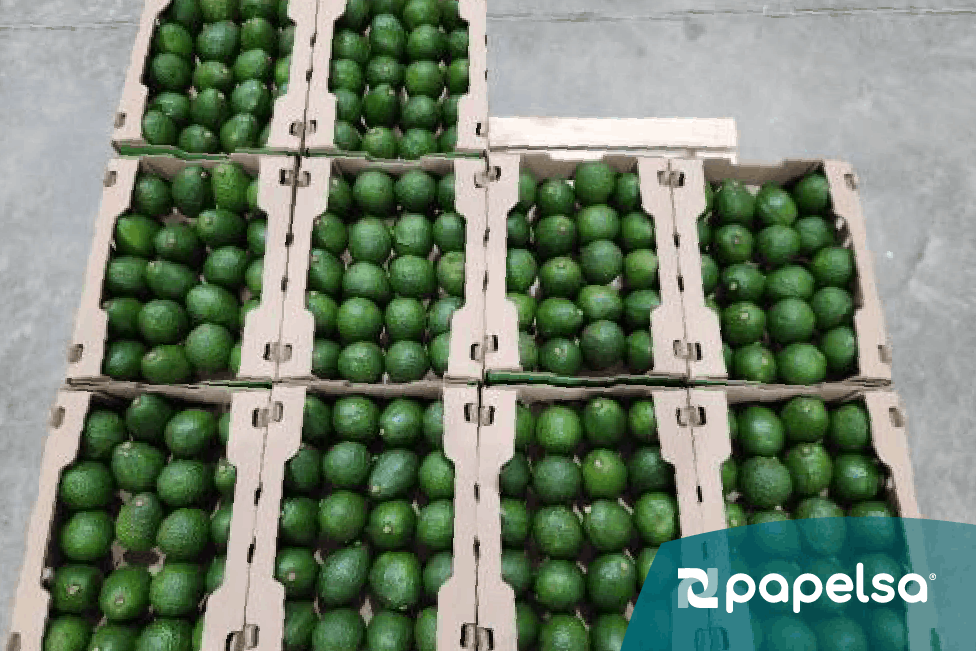 Empaques de papel con aguacates encima de un pallet para exportación.