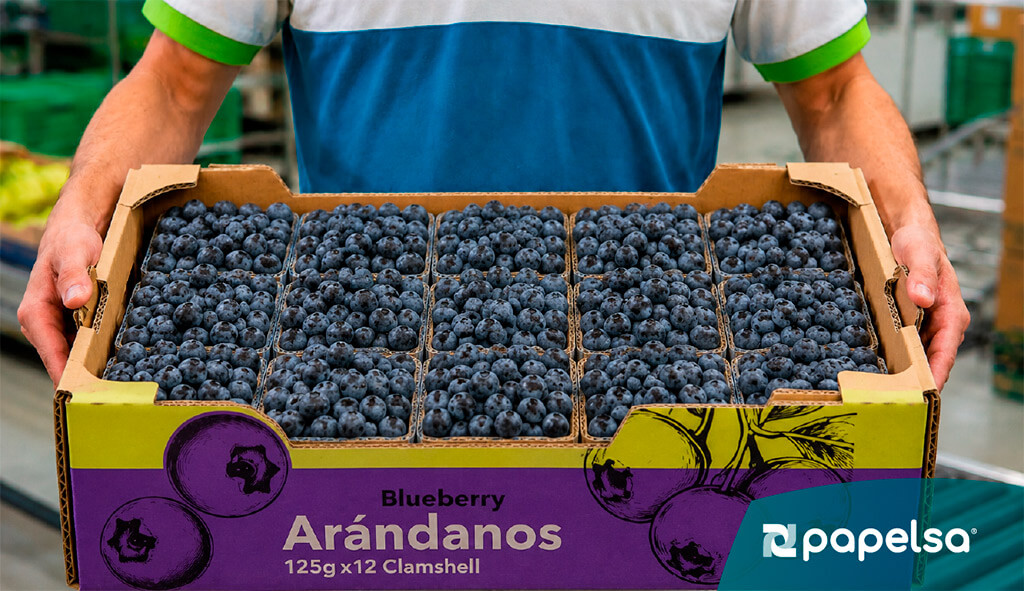 trabajador de papelsa, con una caja de cartón corrugado llena de arandanos productos para exportación.