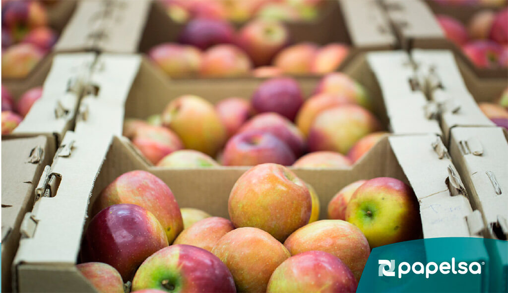 Manzanas frescas en cajas de cartón corrugado, empaque para transporte y conservación de frutas
