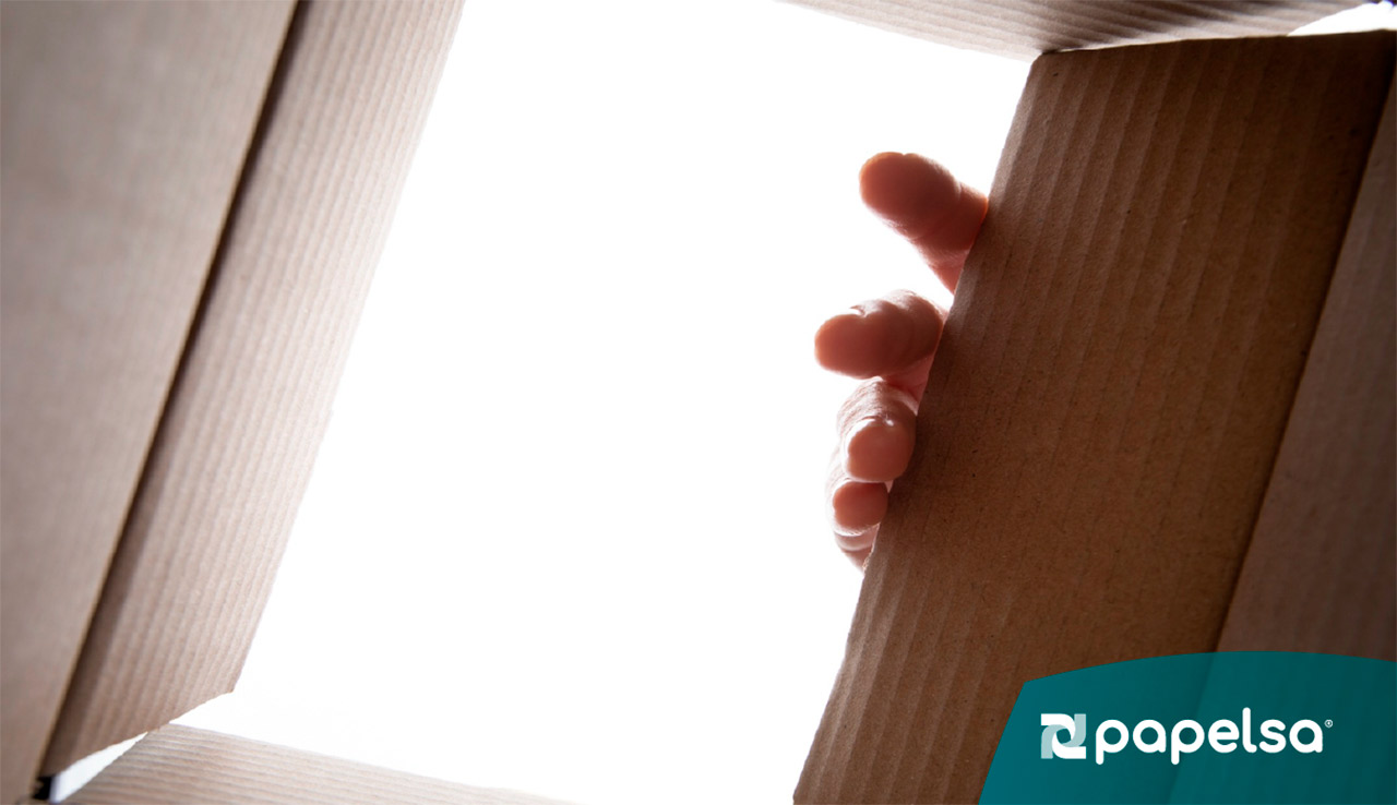 Vista desde el interior de una caja de cartón abierta, con una mano levantando una de sus solapas.