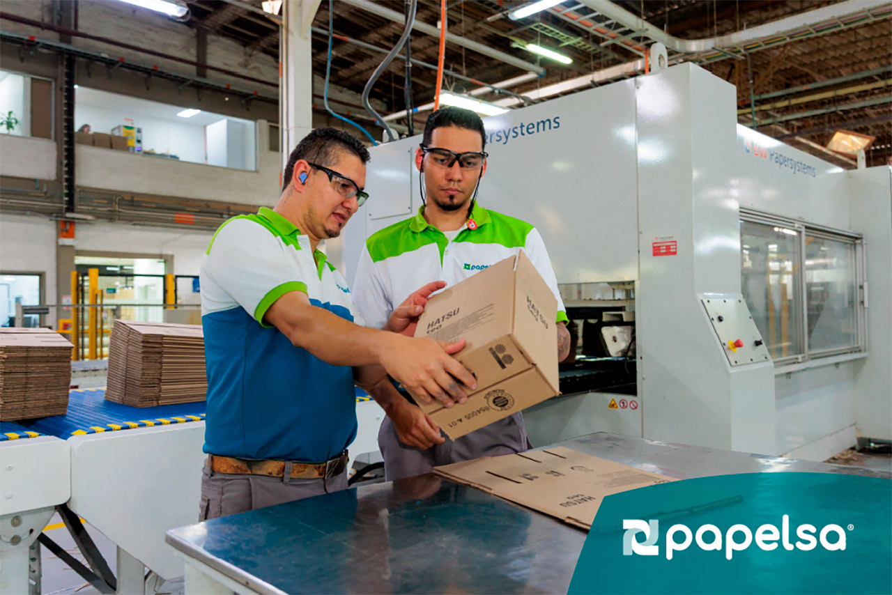 Dos trabajadores de papelsa manipulando una caja de cartón Hatsu en una planta industrial.
