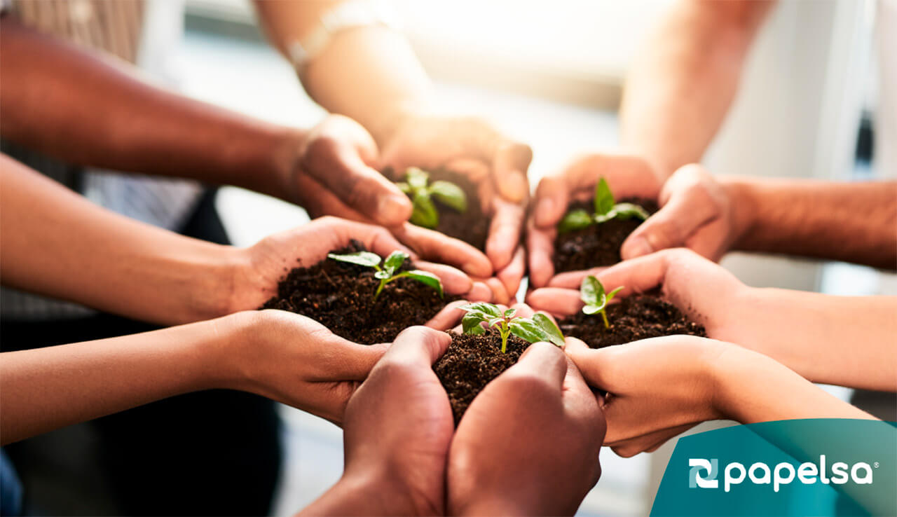 Varias manos sosteniendo tierra con pequeñas plantas, simbolizando trabajo en equipo y sostenibilidad