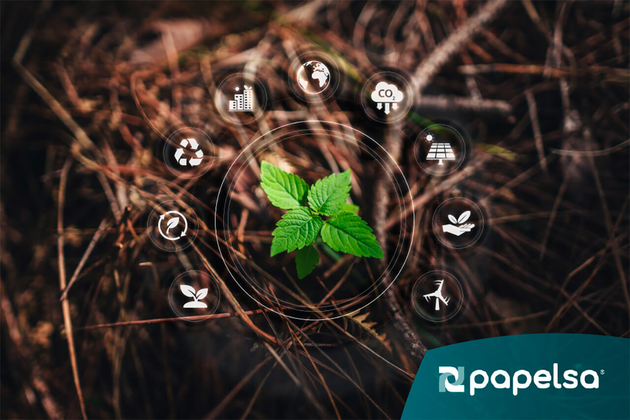 Planta verde creciendo entre ramas secas, rodeada de iconos relacionados con sostenibilidad y medioambiente.